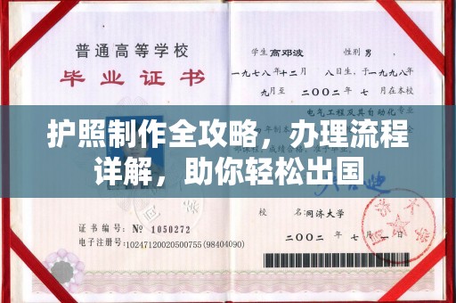 福鼎护照制作全攻略，办理流程详解，助你轻松出国